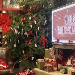 escaparates navideños 18-19