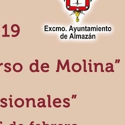CONCURSO MEJOR TORREZNO DEL MUNDO 2019