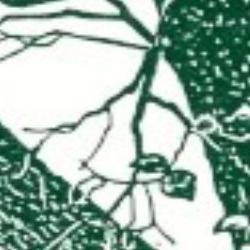 los arboles mueren de pie